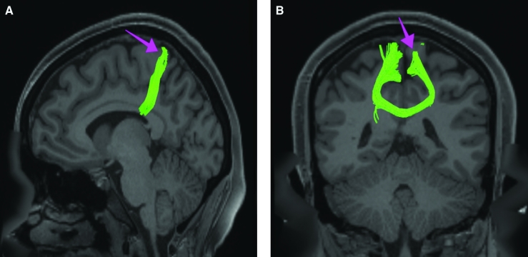 FIGURE 19.