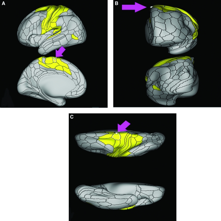 FIGURE 26.