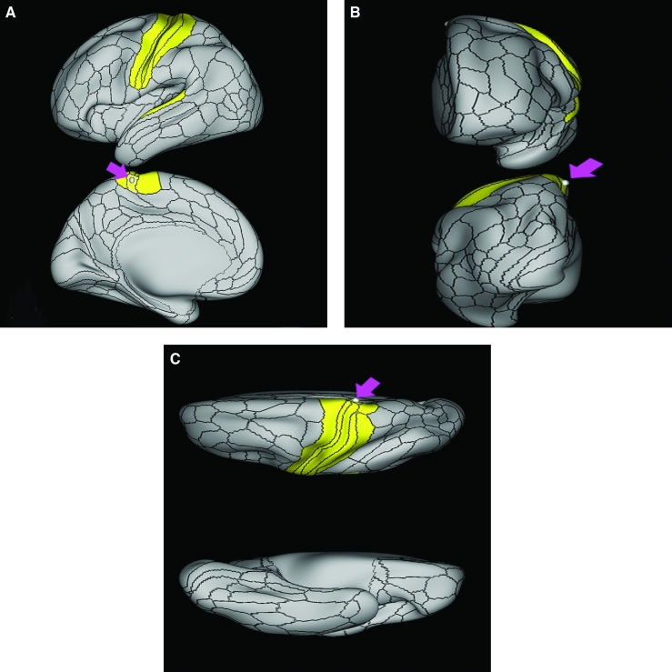 FIGURE 18.