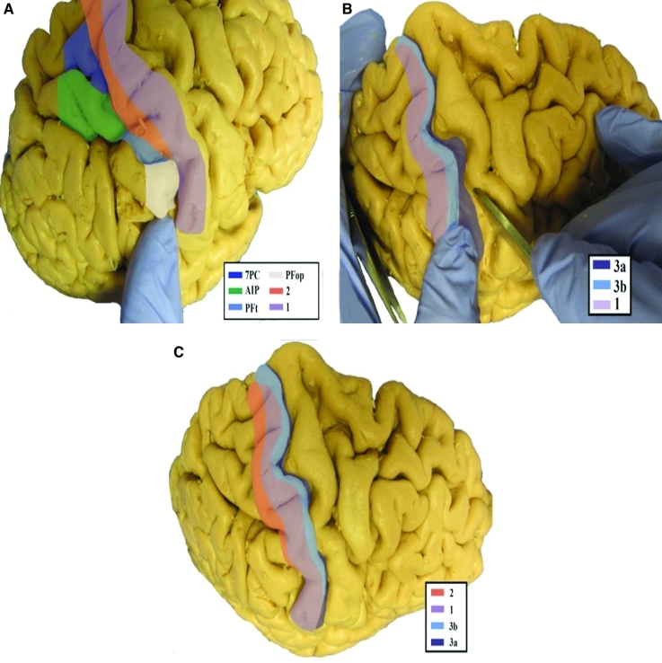 FIGURE 4.