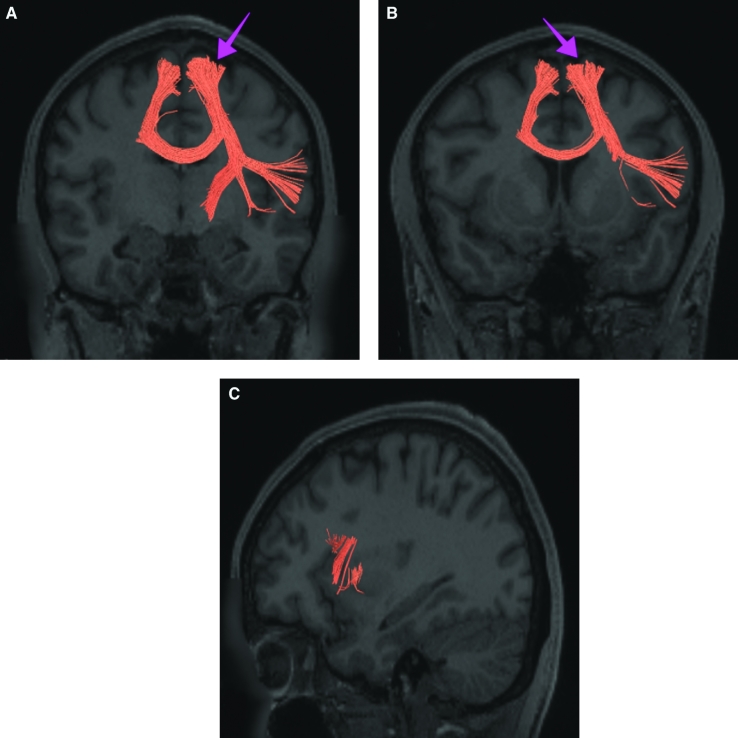 FIGURE 29.