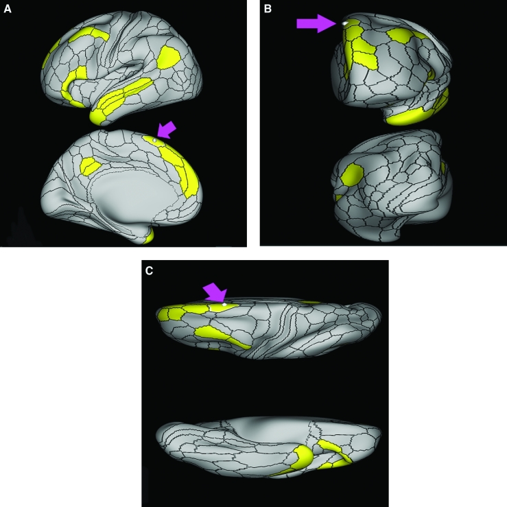 FIGURE 28.