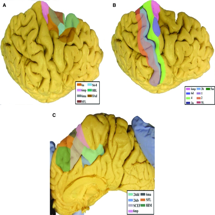 FIGURE 22.