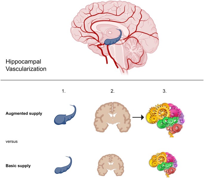 Graphical Abstract