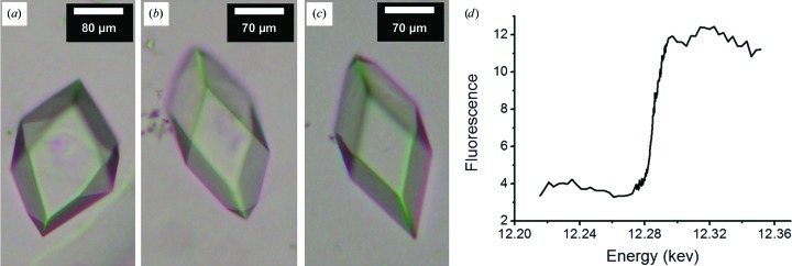 Figure 10