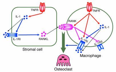 Figure 13