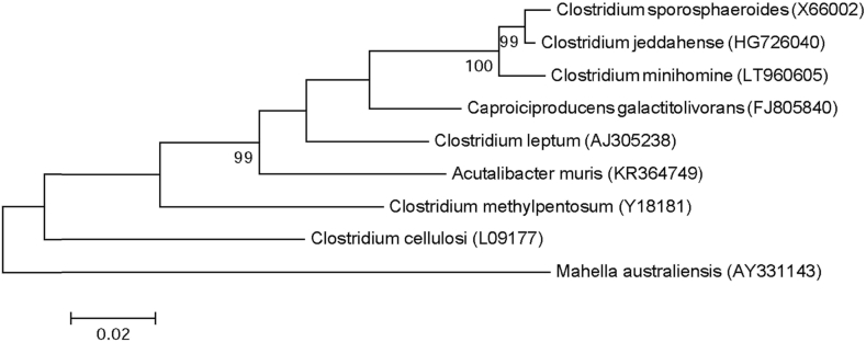 Fig. 3