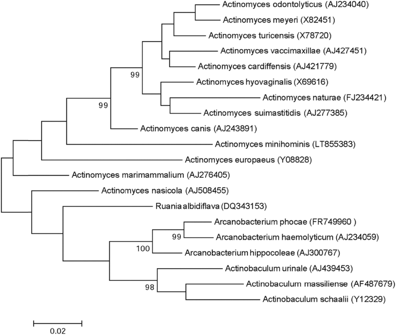 Fig. 2