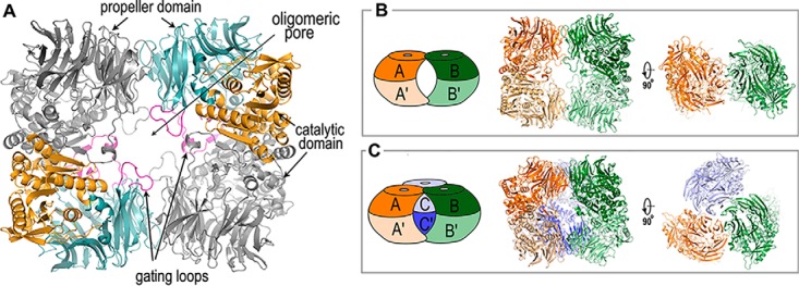 Figure 5.