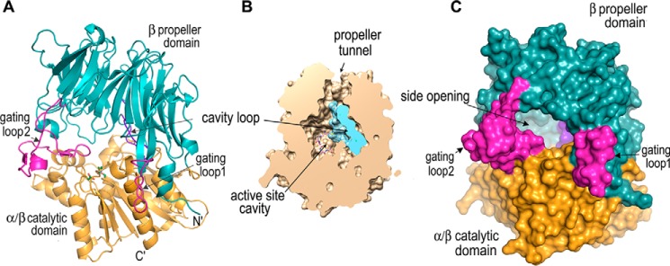 Figure 4.