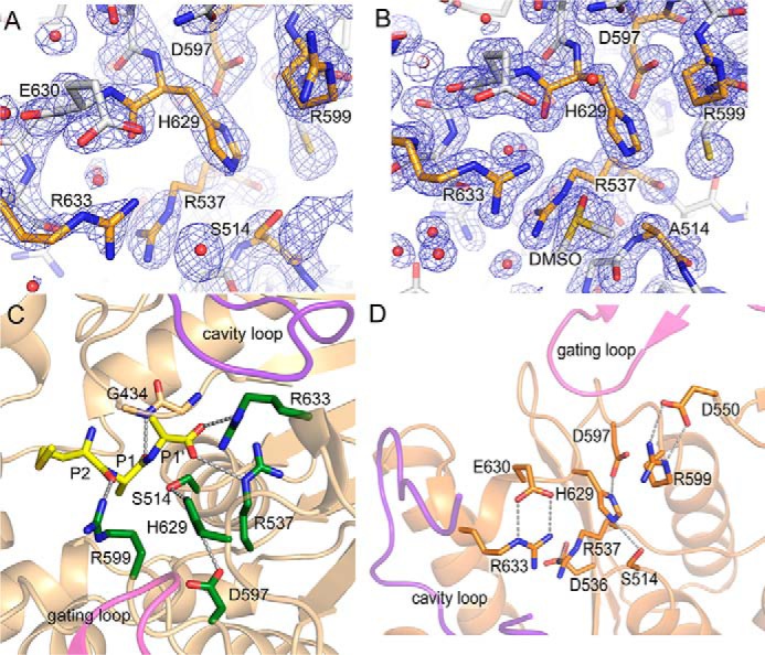 Figure 6.