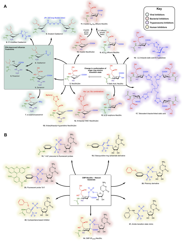 FIGURE 2