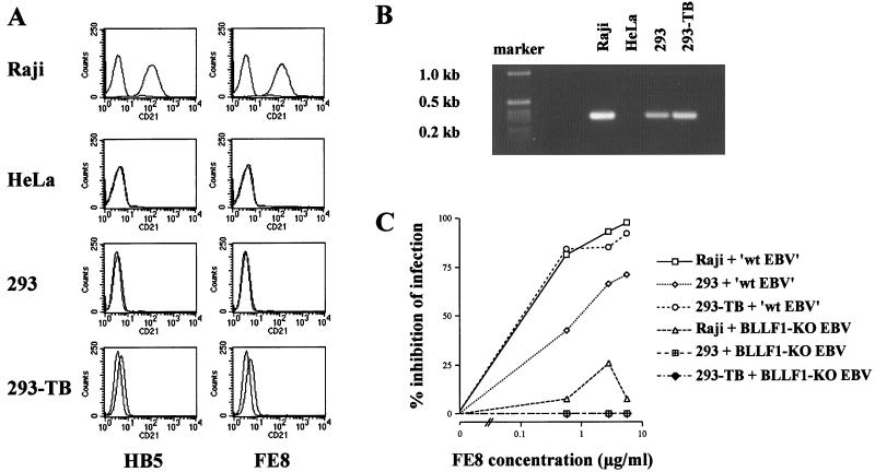 FIG. 7