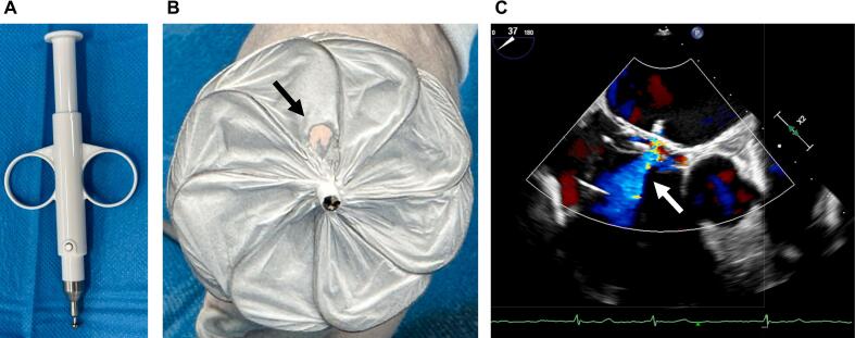 Fig. 2