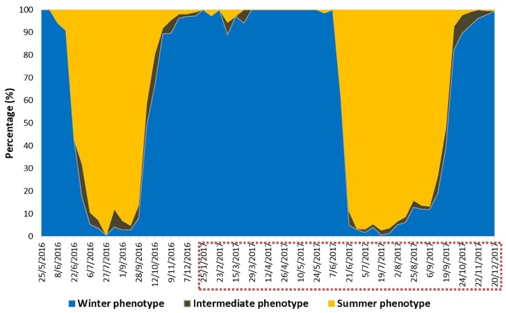 Figure 7