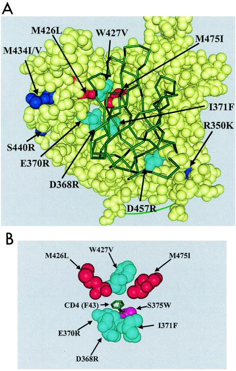 FIG. 7.