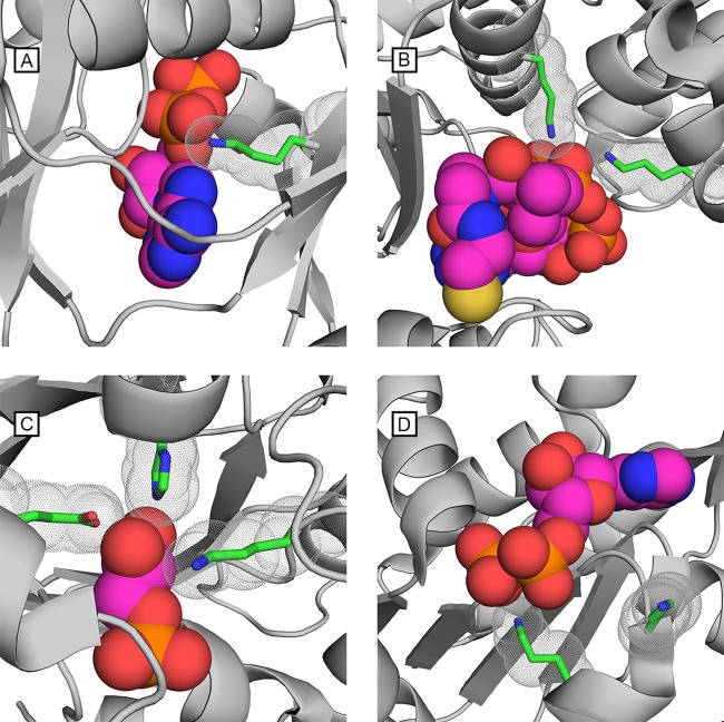 FIG 2 