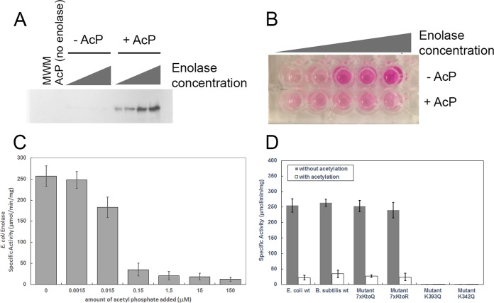 FIG 6 