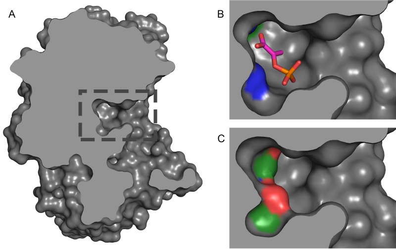 FIG 5 