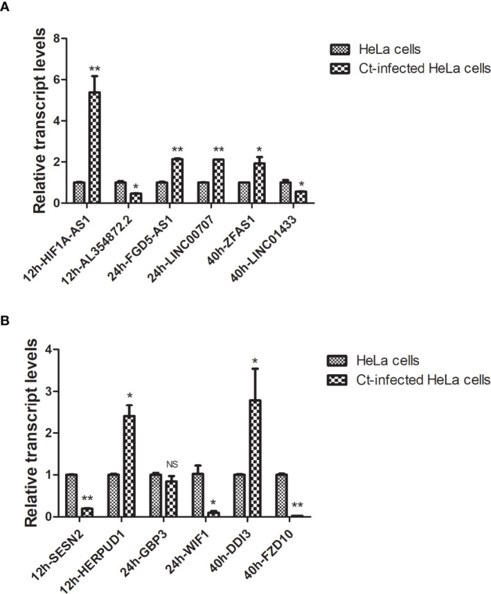 Figure 4