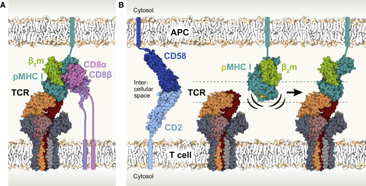 Figure 7