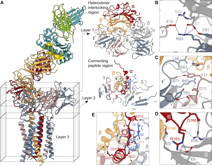 Figure 4