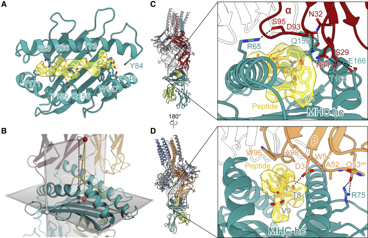 Figure 2