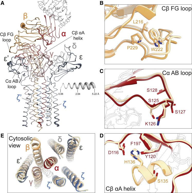 Figure 6