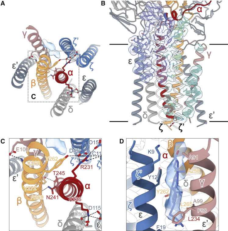 Figure 5