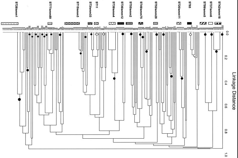 FIG. 1