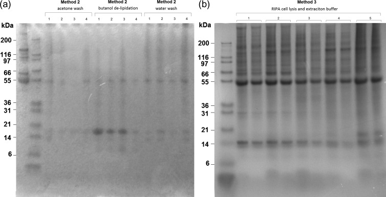 Figure 3: