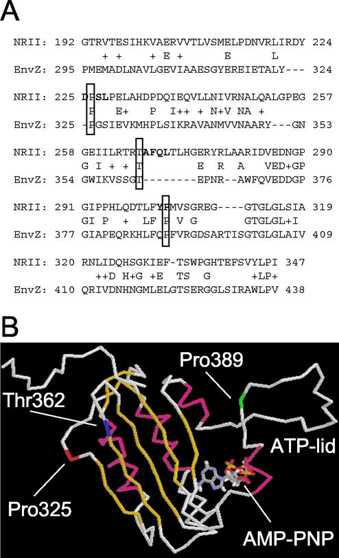 FIG. 8.