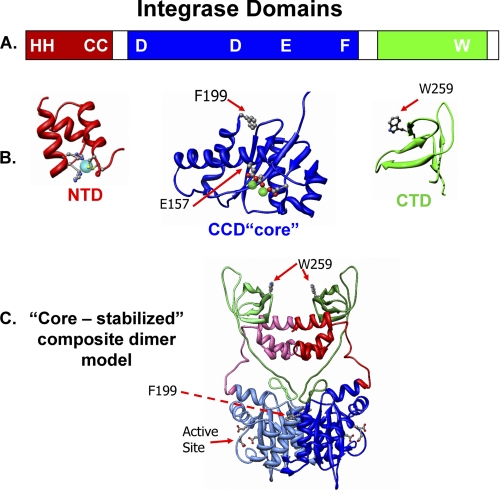 FIGURE 1.