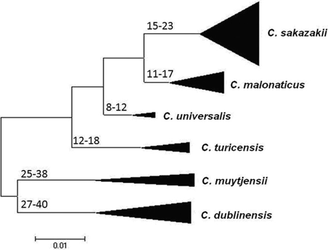 Fig 4