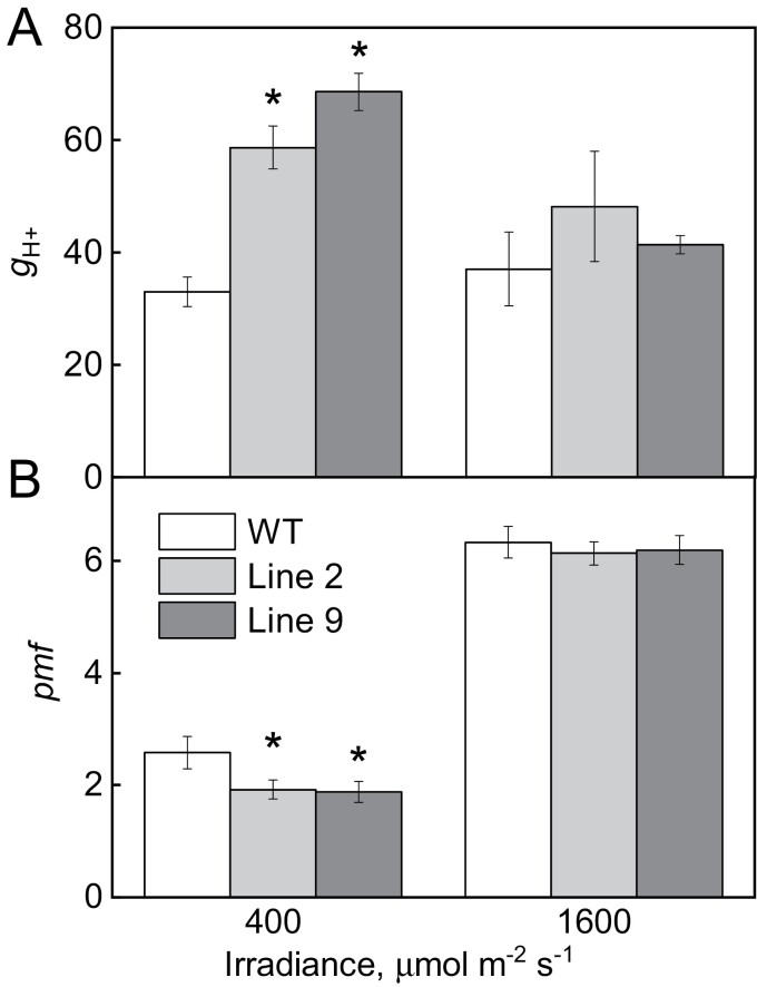 Fig. 3.