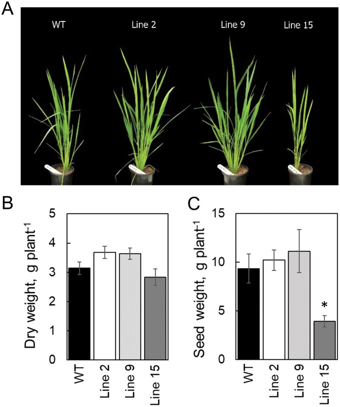 Fig. 9.