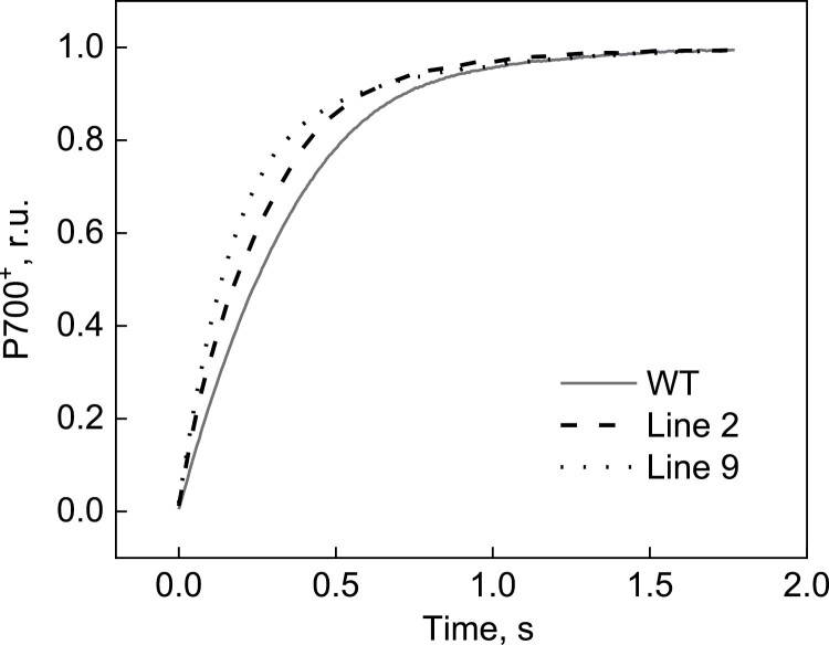 Fig. 5.