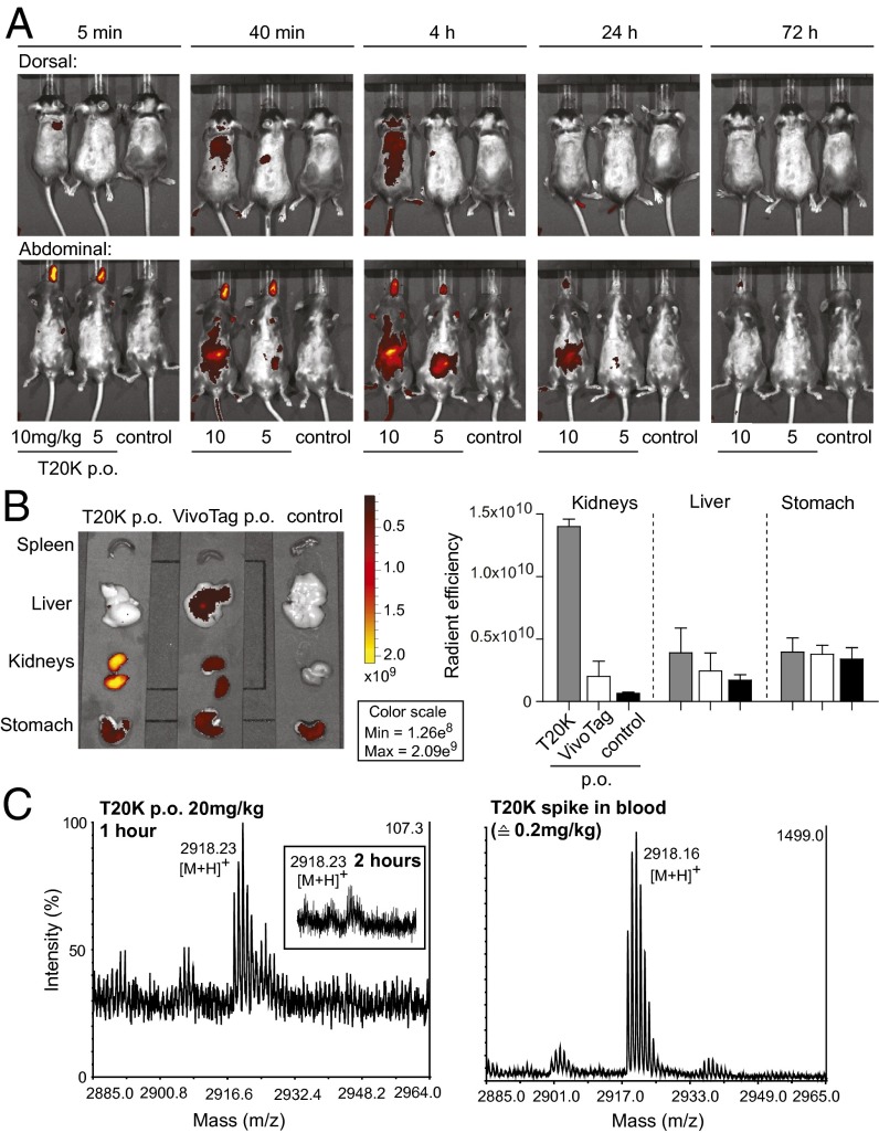 Fig. 4.