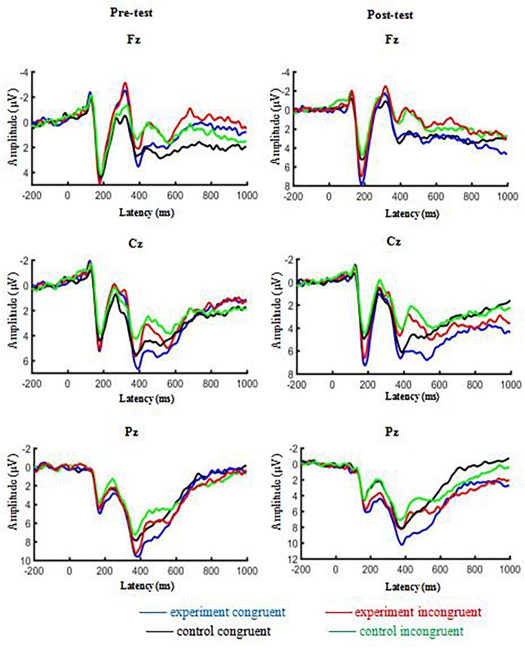 FIGURE 4