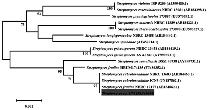 Figure 3