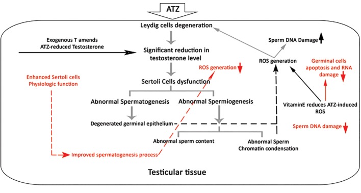 Fig.6