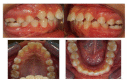 Fig. (4)
