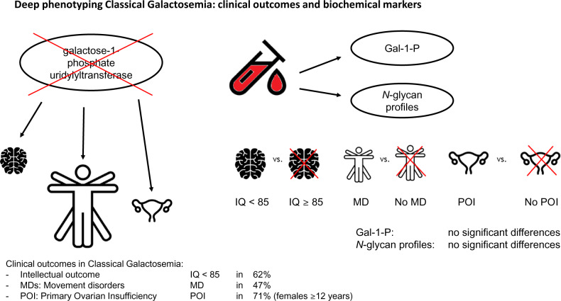 Graphical Abstract