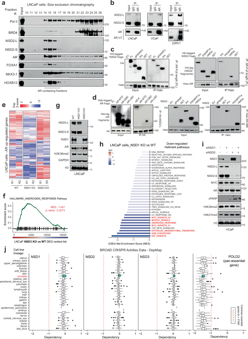 Extended Data Fig. 7