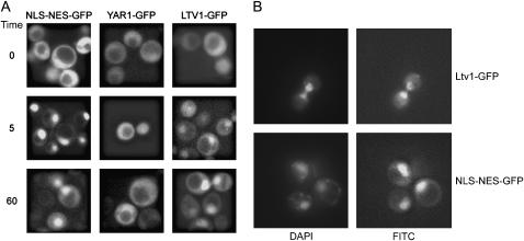 Figure 3.—