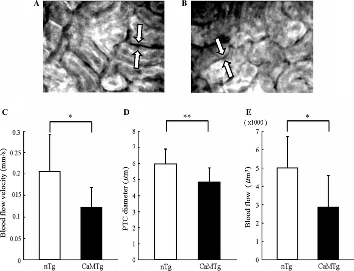 Fig. 4