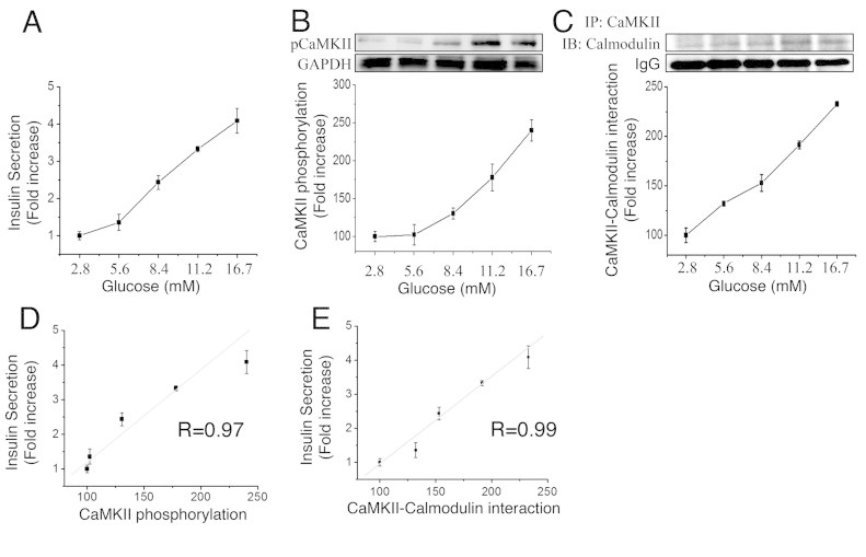 Supplementary Figure 2