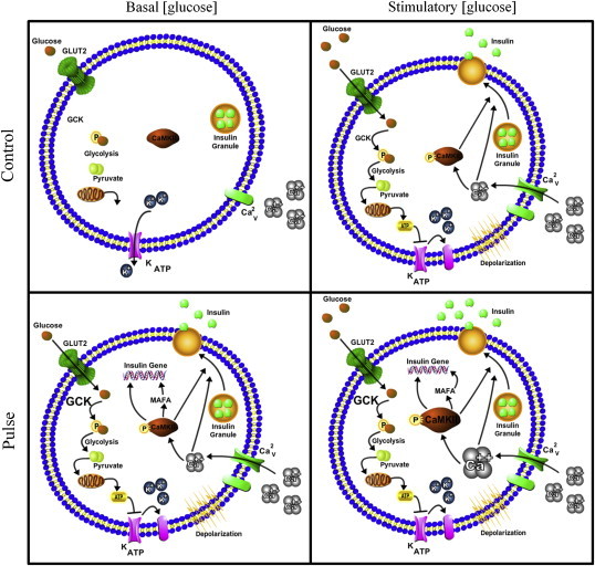 Figure 4