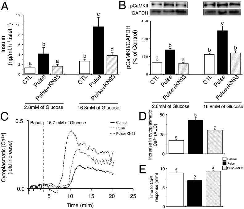 Supplementary Figure 1