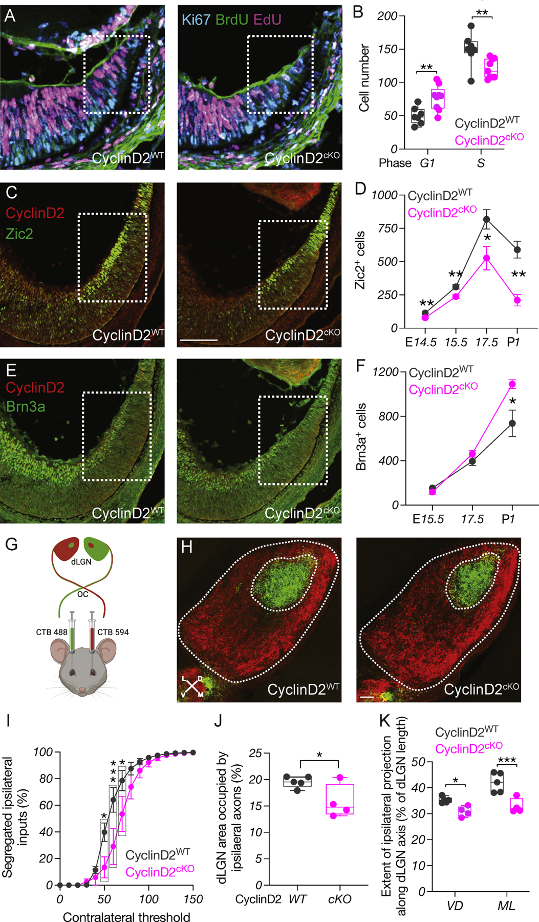 Figure 4: